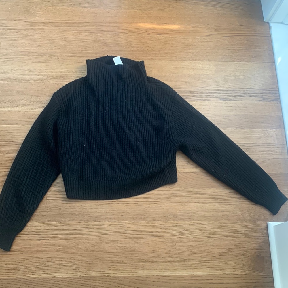 Aritzia Black Turtleneck Sweater